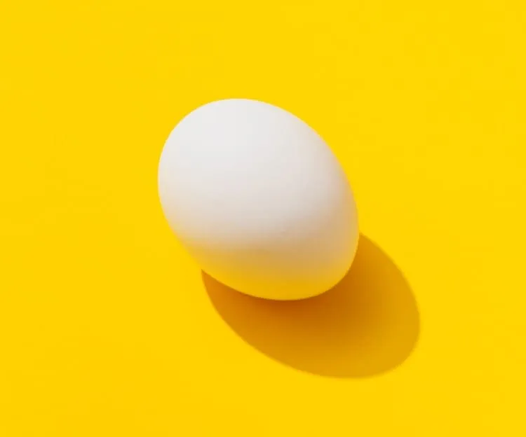An egg resting on a solid yellow background